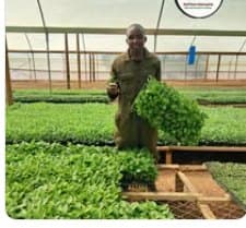 The Propagation & Agronomy Team — Makairo & Masimba nurseries